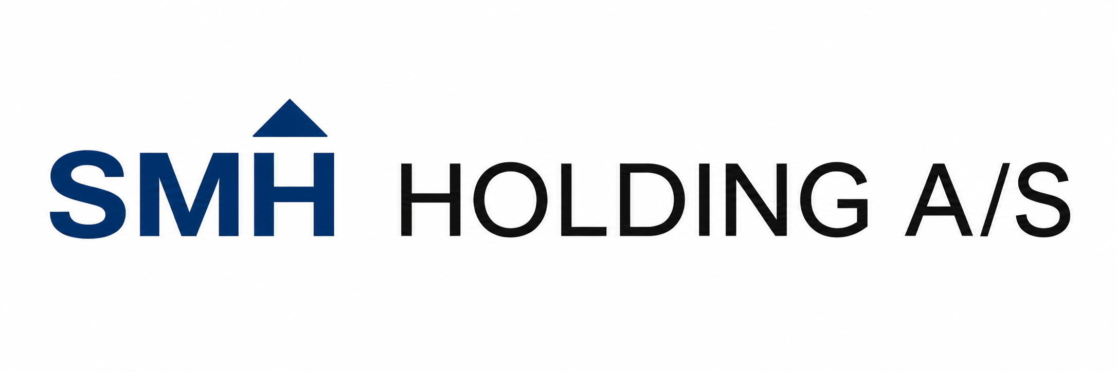 SMH Holding